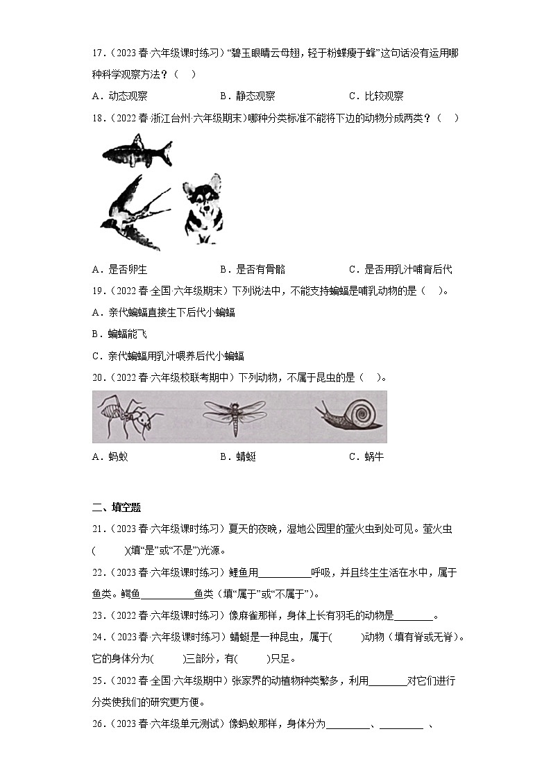 2.4多种多样的动物-第3页