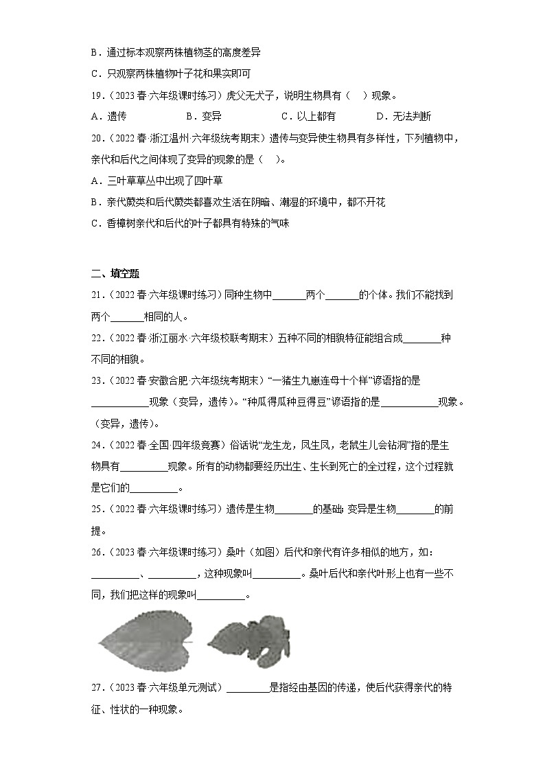 2.5相貌各异的我们第3页