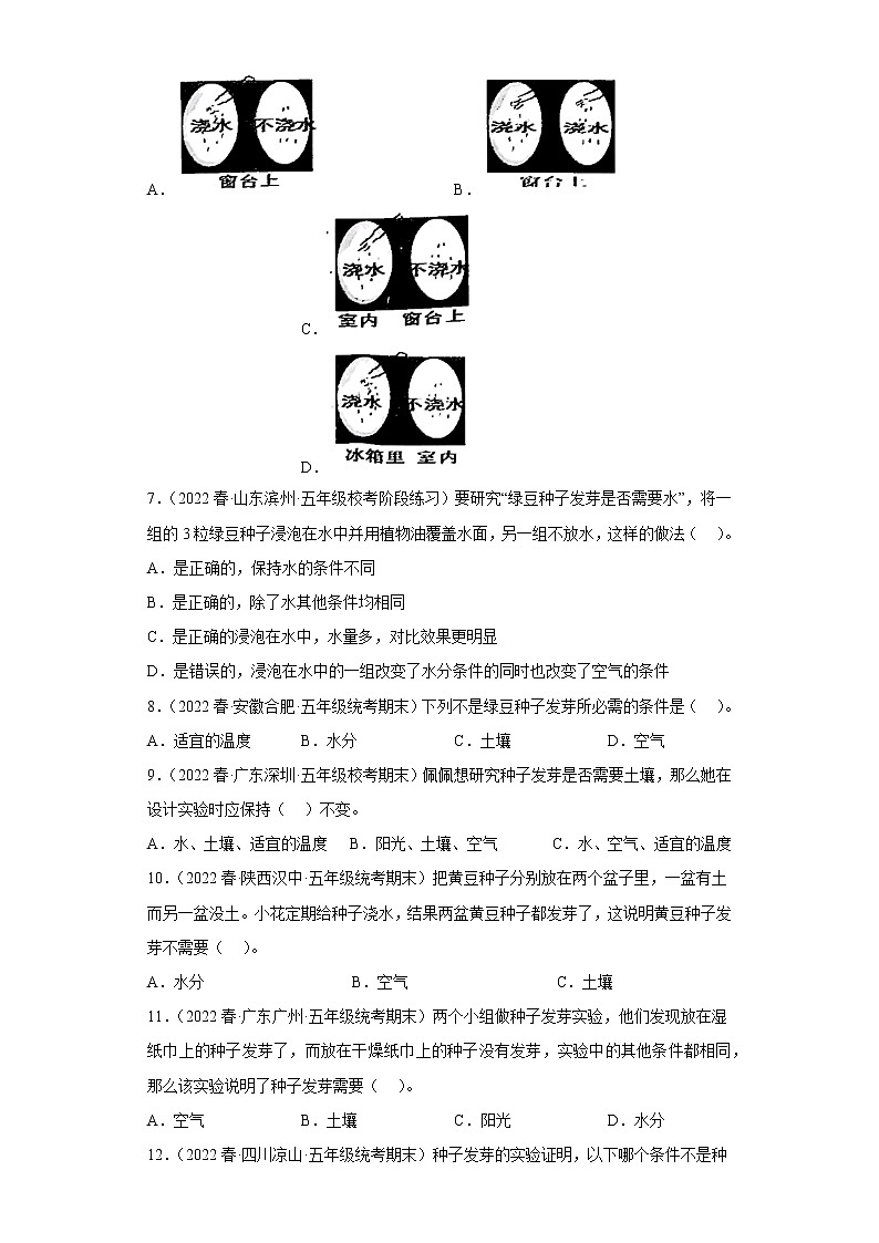 2.比较种子发芽实验第2页