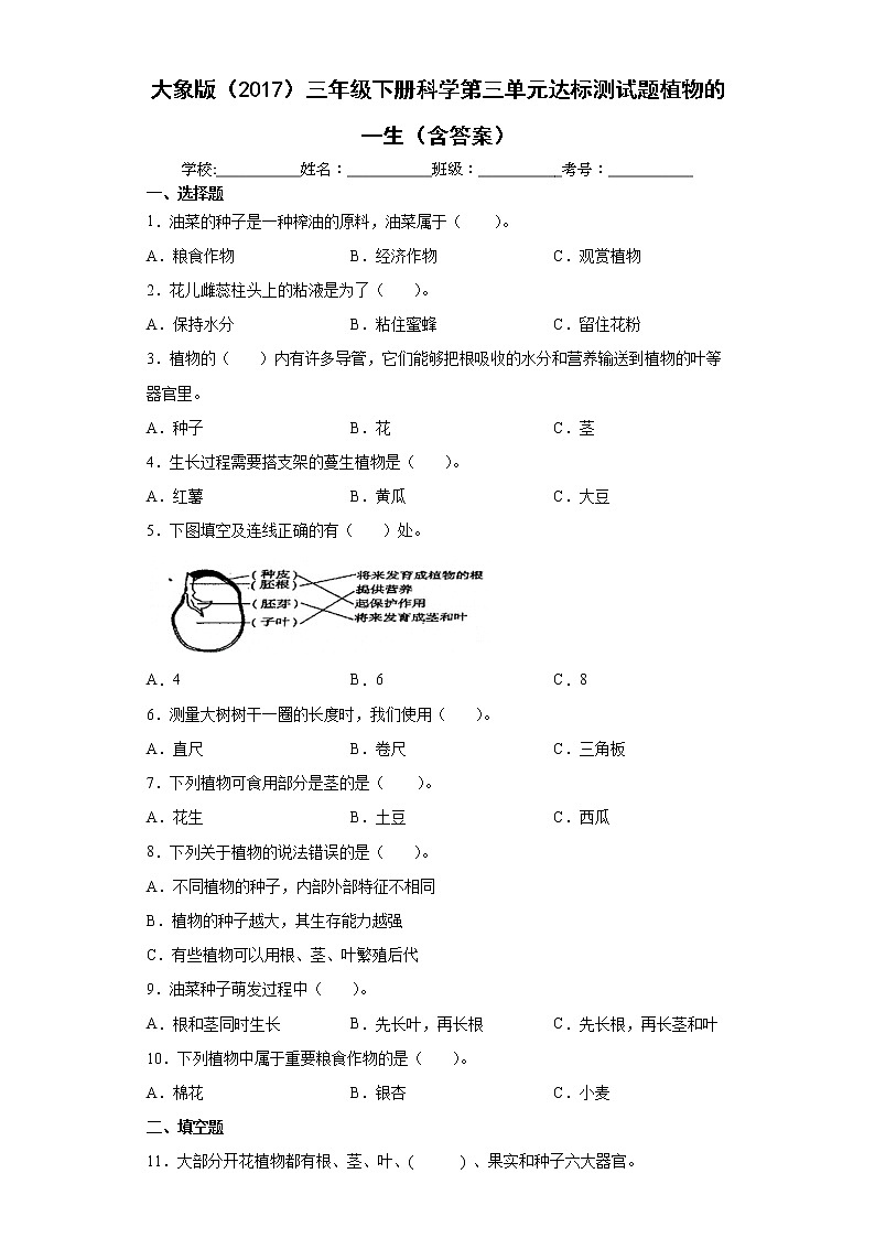 大象版三年级下册科学第三单元达标测试题植物的一生（含答案）第1页