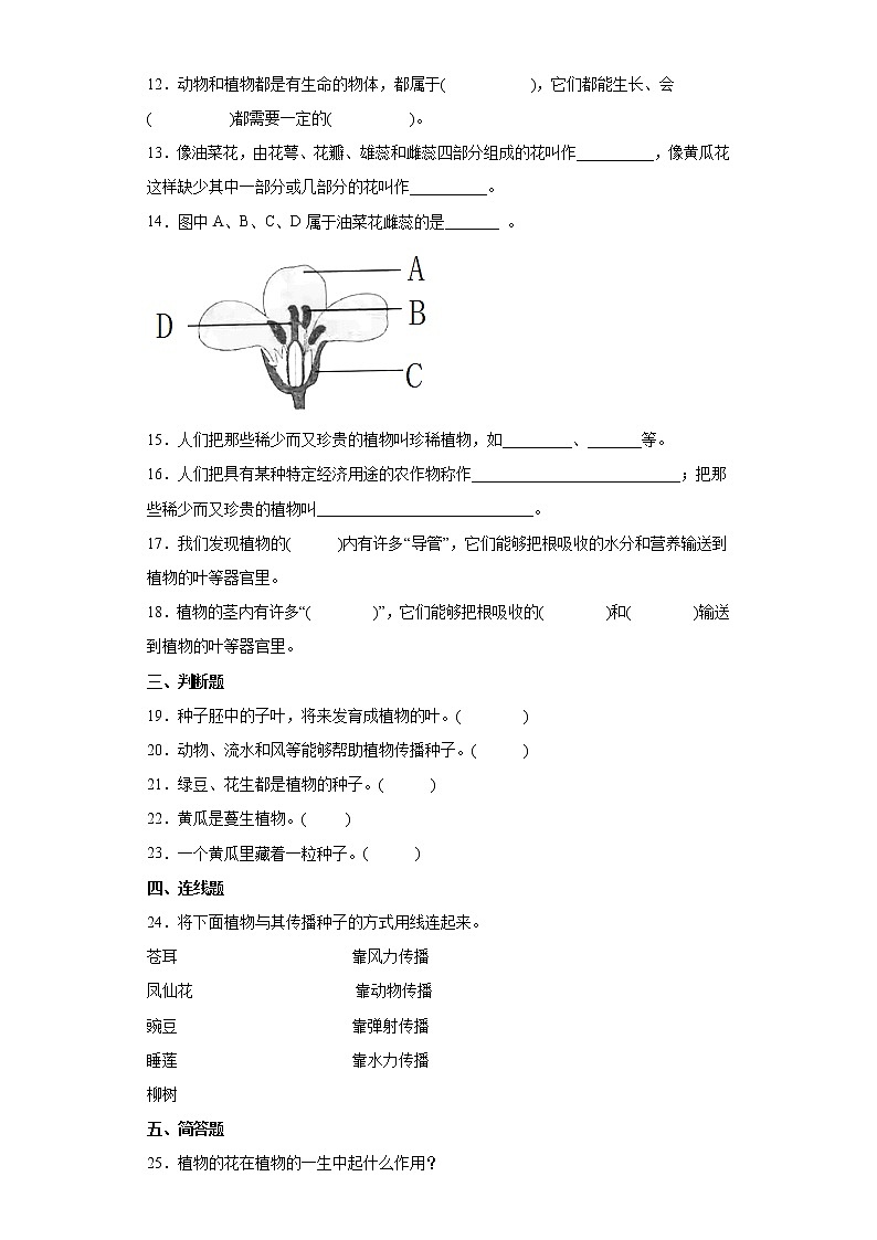 大象版三年级下册科学第三单元达标测试题植物的一生（含答案）第2页