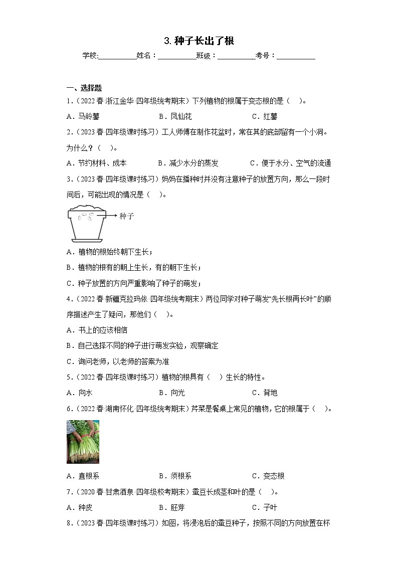 3.种子长出了根第1页