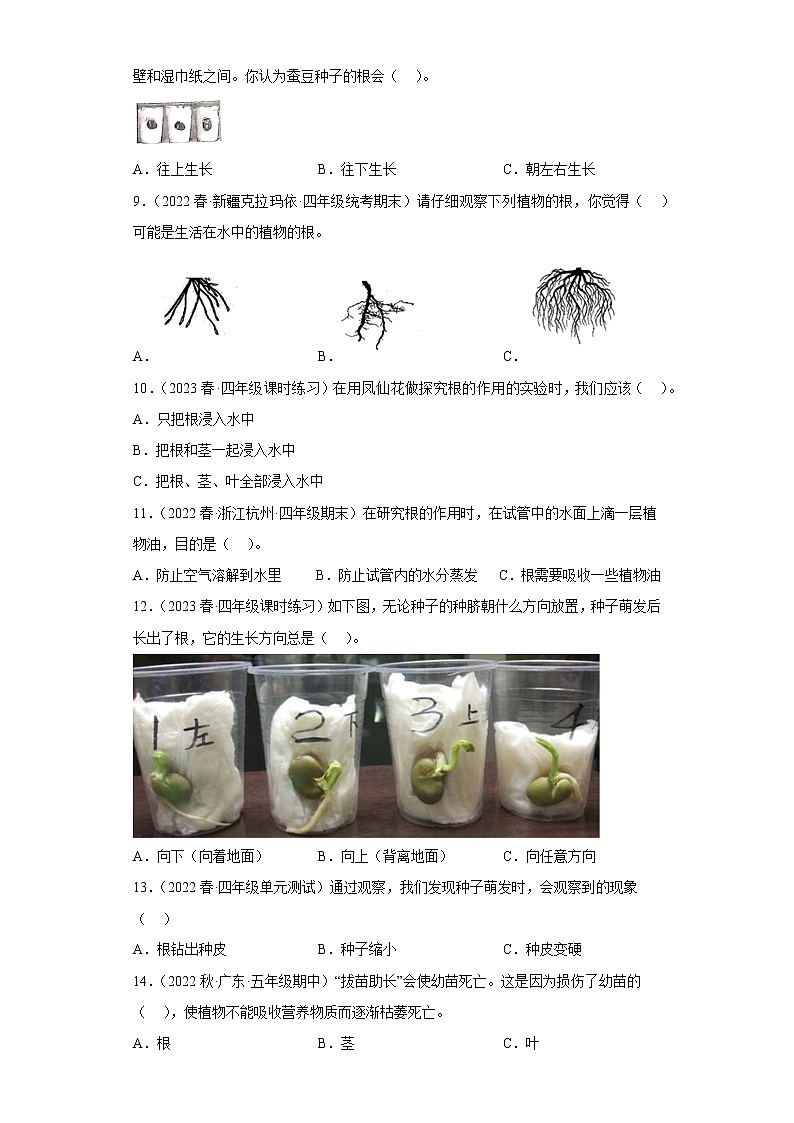 3.种子长出了根第2页