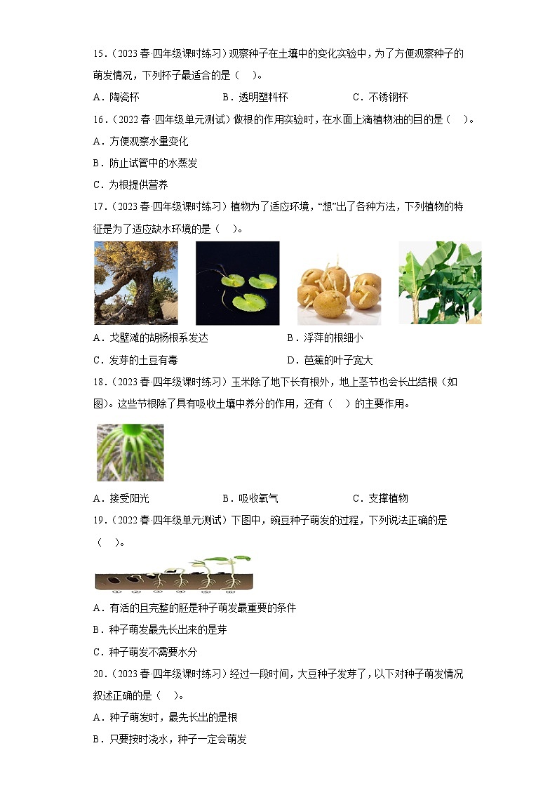 3.种子长出了根第3页