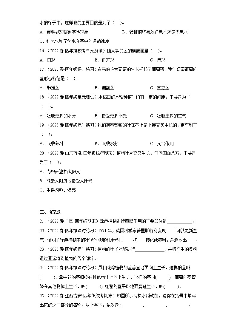 4.茎和叶 练习03