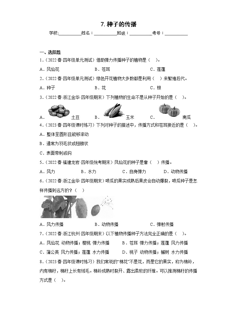 7.种子的传播第1页