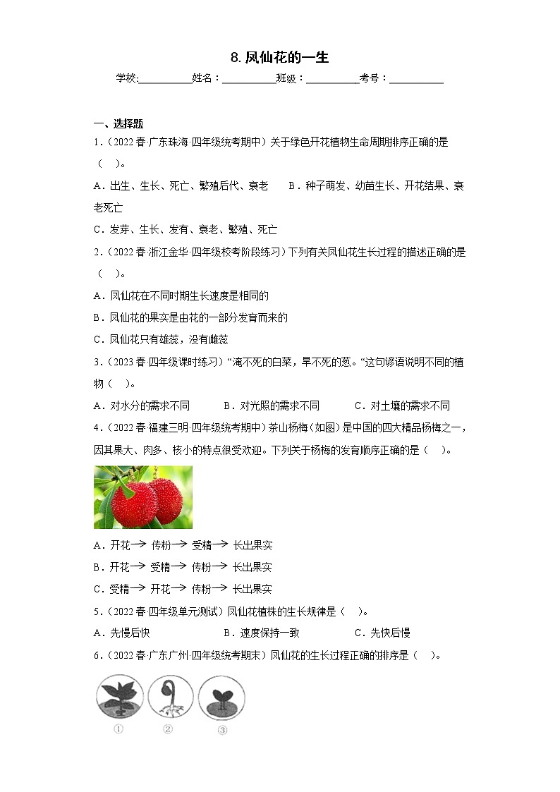 8.凤仙花的一生 练习01
