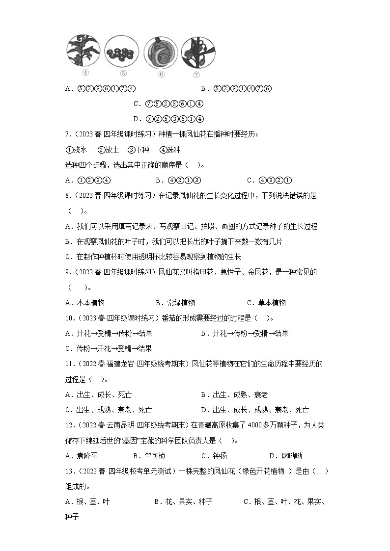 8.凤仙花的一生 练习02