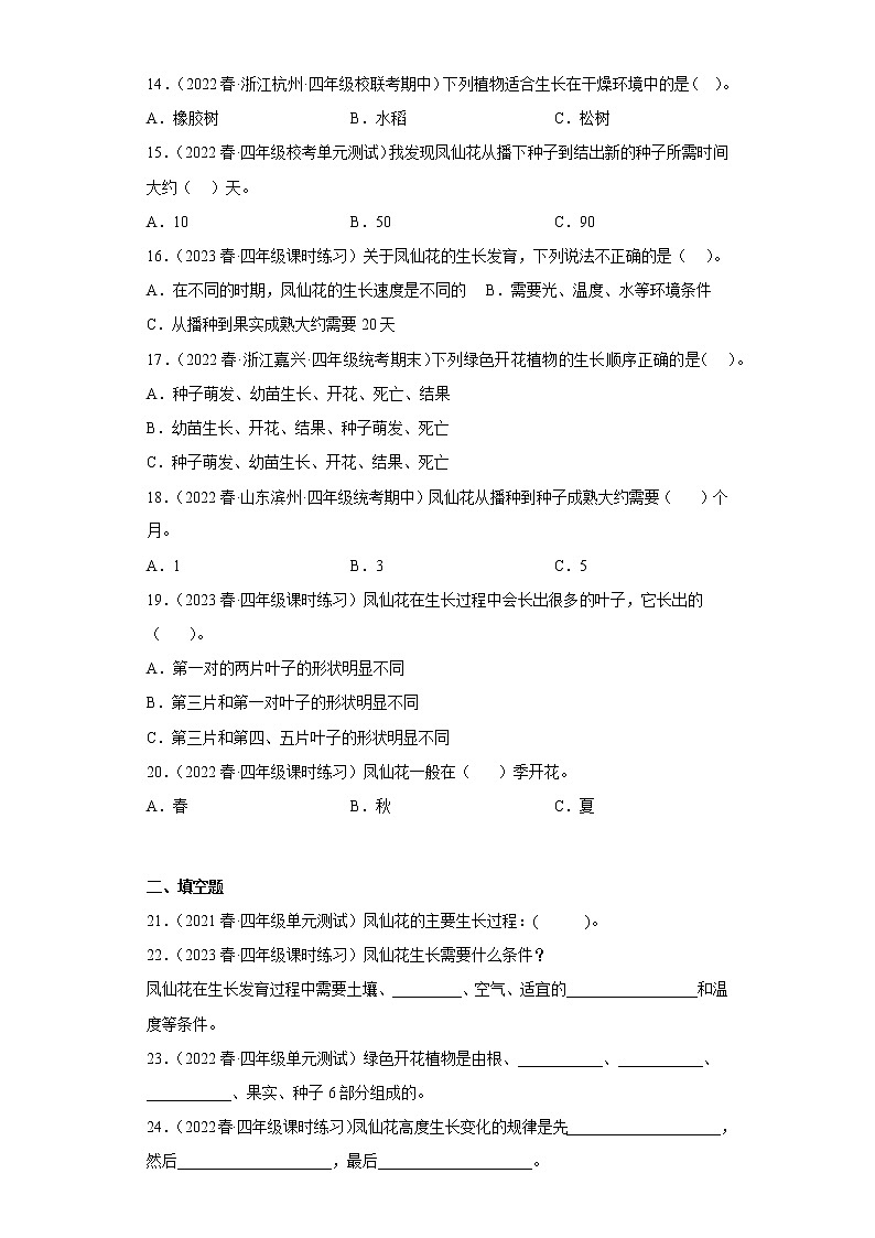 8.凤仙花的一生 练习03