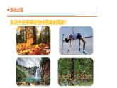 12.《地球引力》教學課件