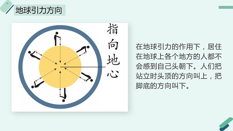 4.12青岛版科学五年级上册第四单元地球和地表第12课地球引力课件PPT第6页