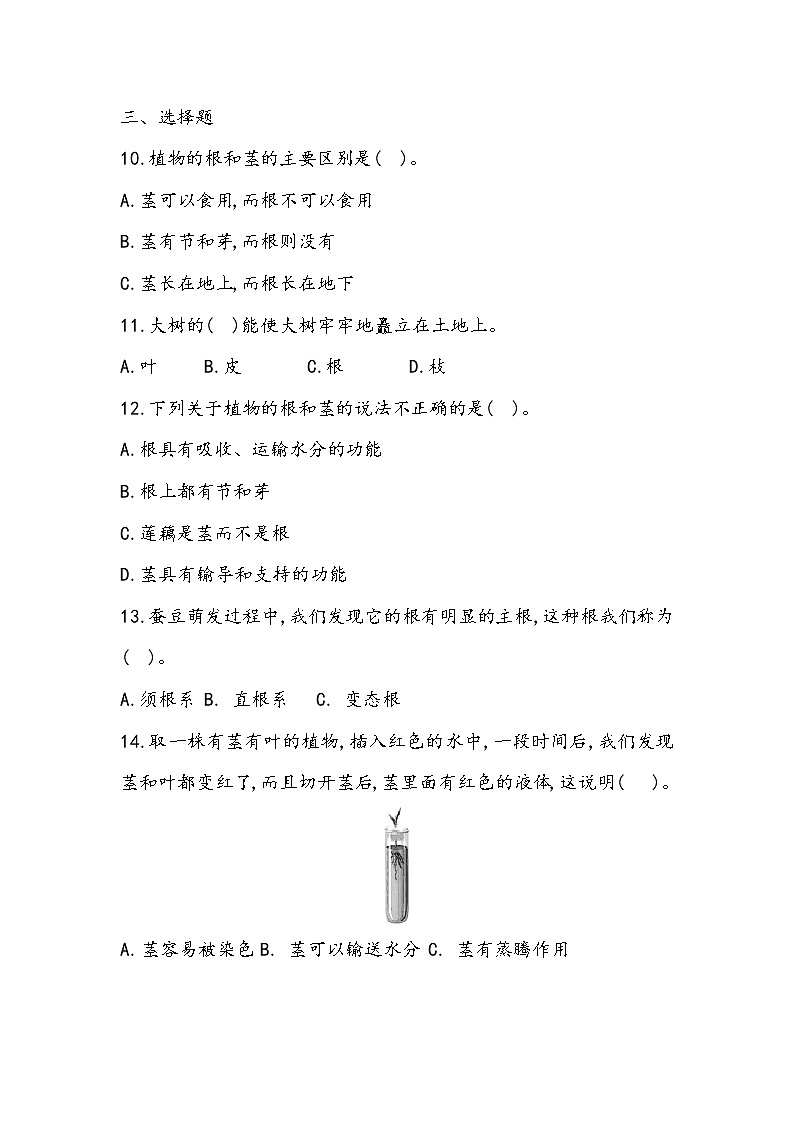 2.5 植物的器官（同步练习）四年级下册科学冀人版02