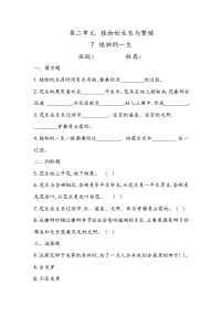 小学科学冀人版 (2017)四年级下册7 植物的一生练习题