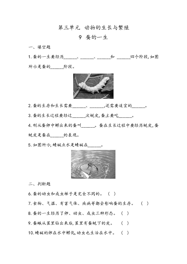 3.9 蚕的一生（同步练习）四年级下册科学冀人版01