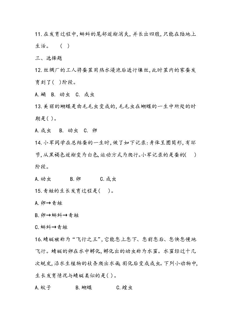 3.9 蚕的一生（同步练习）四年级下册科学冀人版02