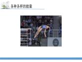 新苏教版科学六下2.各种各样的能量 教案+课件PPT