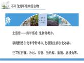 新蘇教版科學六下5.多樣的棲息地 教案+課件PPT