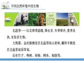 新蘇教版科學六下5.多樣的棲息地 教案+課件PPT