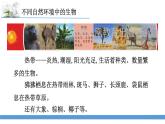 新蘇教版科學六下5.多樣的棲息地 教案+課件PPT