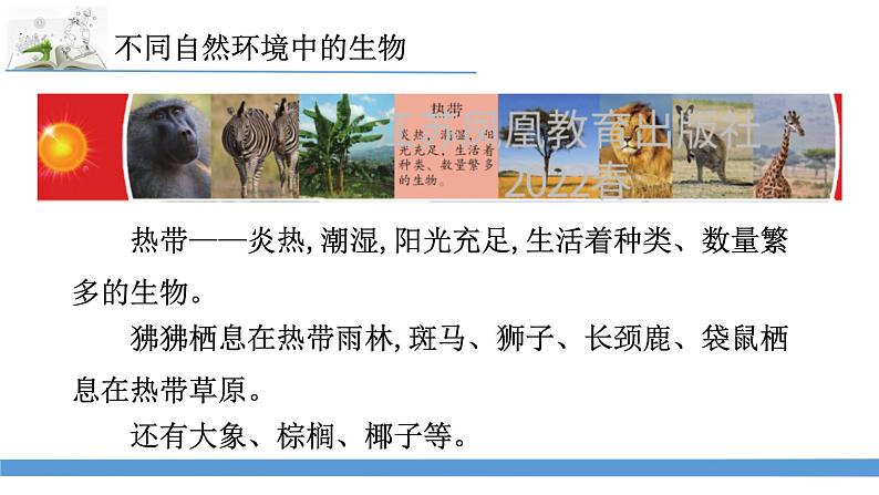 新苏教版科学六下5.多样的栖息地 教案+课件PPT05