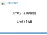 新蘇教版科學(xué)六下6.有趣的食物鏈 教案+課件PPT