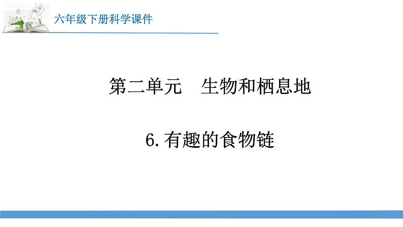 新苏教版科学六下6.有趣的食物链 课件第1页