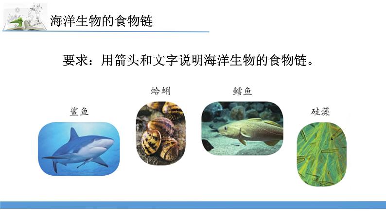 新苏教版科学六下6.有趣的食物链 课件第5页