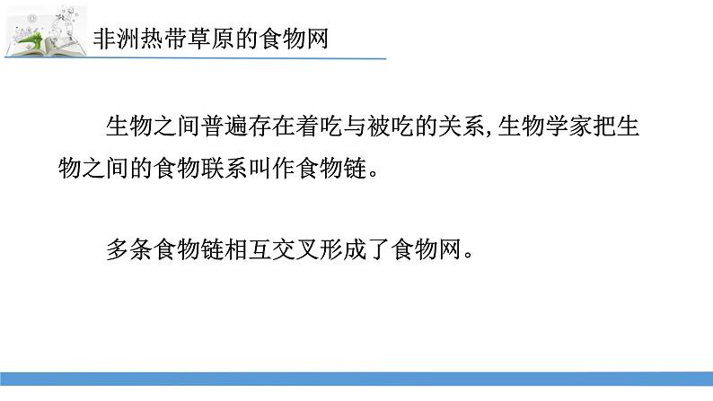 新苏教版科学六下6.有趣的食物链 课件第7页