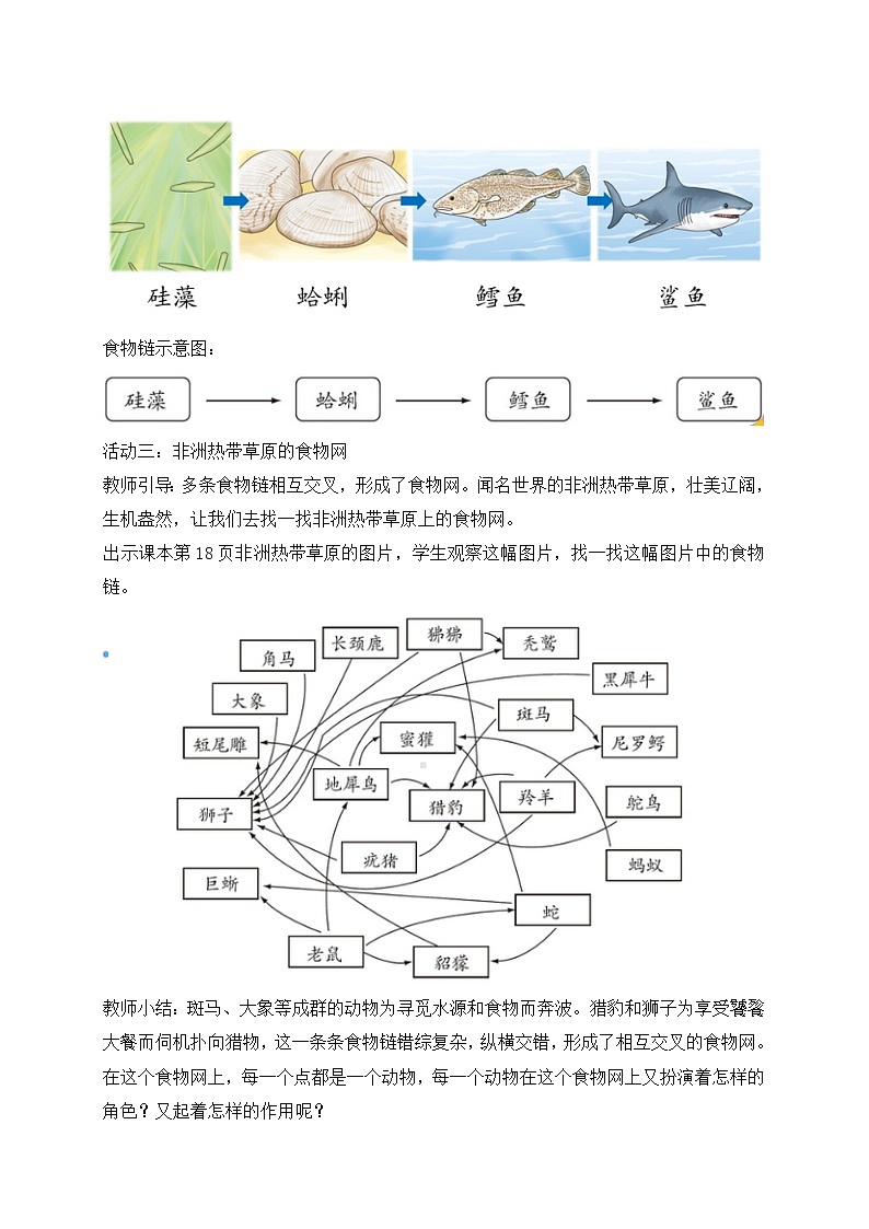 新苏教版科学六下6.有趣的食物链 教案第3页