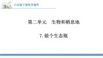 苏教版 (2017)六年级下册第二单元 生物和栖息地7 做个生态瓶教课内容ppt课件