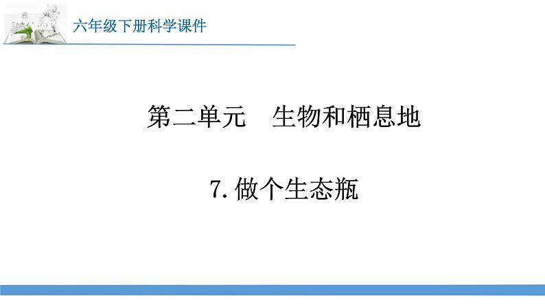 新苏教版科学六下7.做个生态瓶 课件第1页