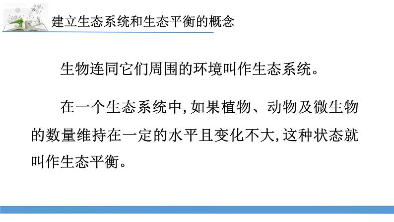 新苏教版科学六下7.做个生态瓶 课件第2页