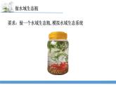 新蘇教版科學(xué)六下7.做個(gè)生態(tài)瓶 教案+課件PPT