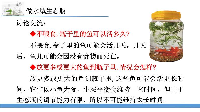 新苏教版科学六下7.做个生态瓶 课件第5页
