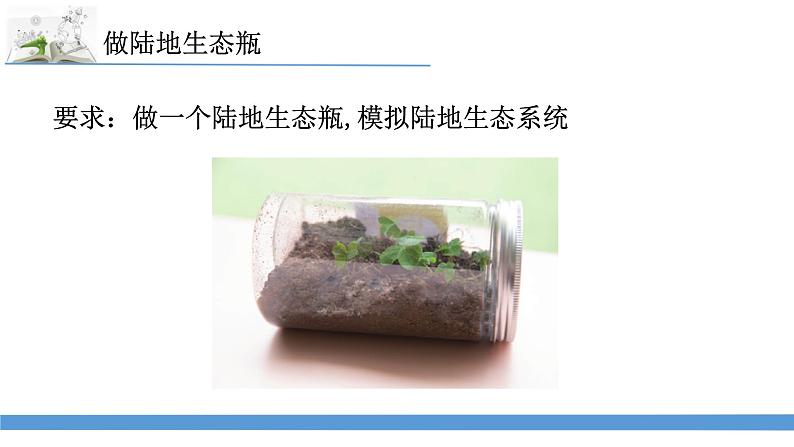 新苏教版科学六下7.做个生态瓶 课件第6页