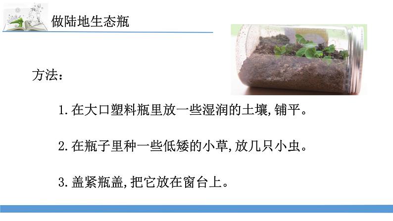 新苏教版科学六下7.做个生态瓶 课件第7页