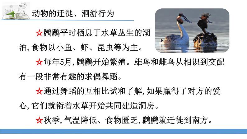 新苏教版科学六下8.适应生存的本领 教案+课件PPT04