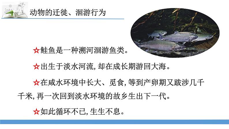 新苏教版科学六下8.适应生存的本领 教案+课件PPT07