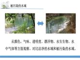 新苏教版科学六下13.洁净的水域 教案+课件PPT