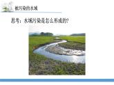 新苏教版科学六下13.洁净的水域 教案+课件PPT