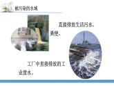 新苏教版科学六下13.洁净的水域 教案+课件PPT