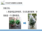 新苏教版科学六下14.清新的空气 教案+课件PPT