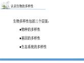 新苏教版科学六下15.多样的生物 教案+课件PPT