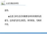 新苏教版科学六下15.多样的生物 教案+课件PPT