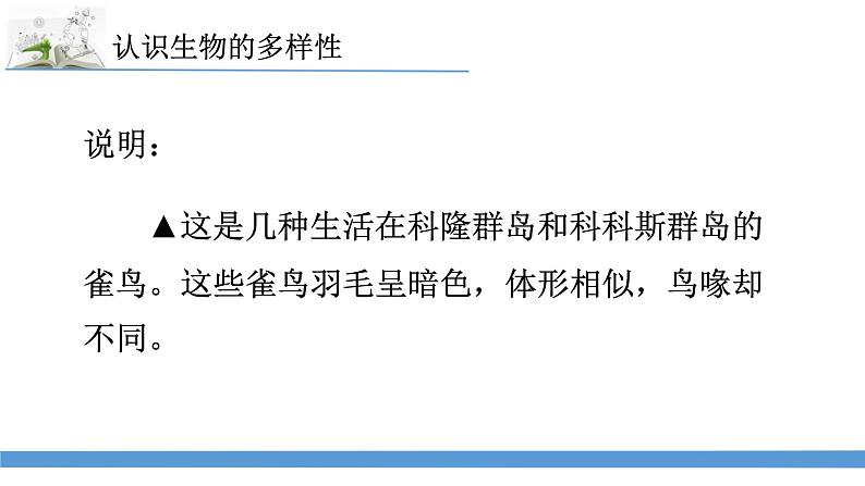 新苏教版科学六下15.多样的生物 教案+课件PPT05