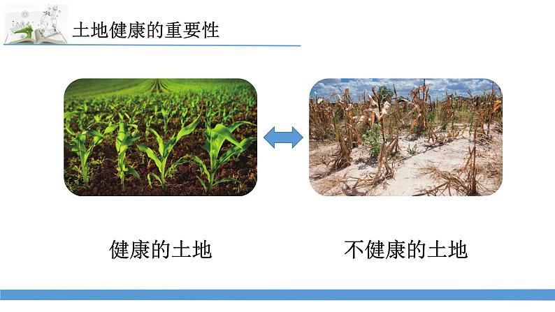 新苏教版科学六下16.健康的土地 教案+课件PPT03