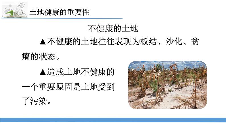 新苏教版科学六下16.健康的土地 教案+课件PPT05