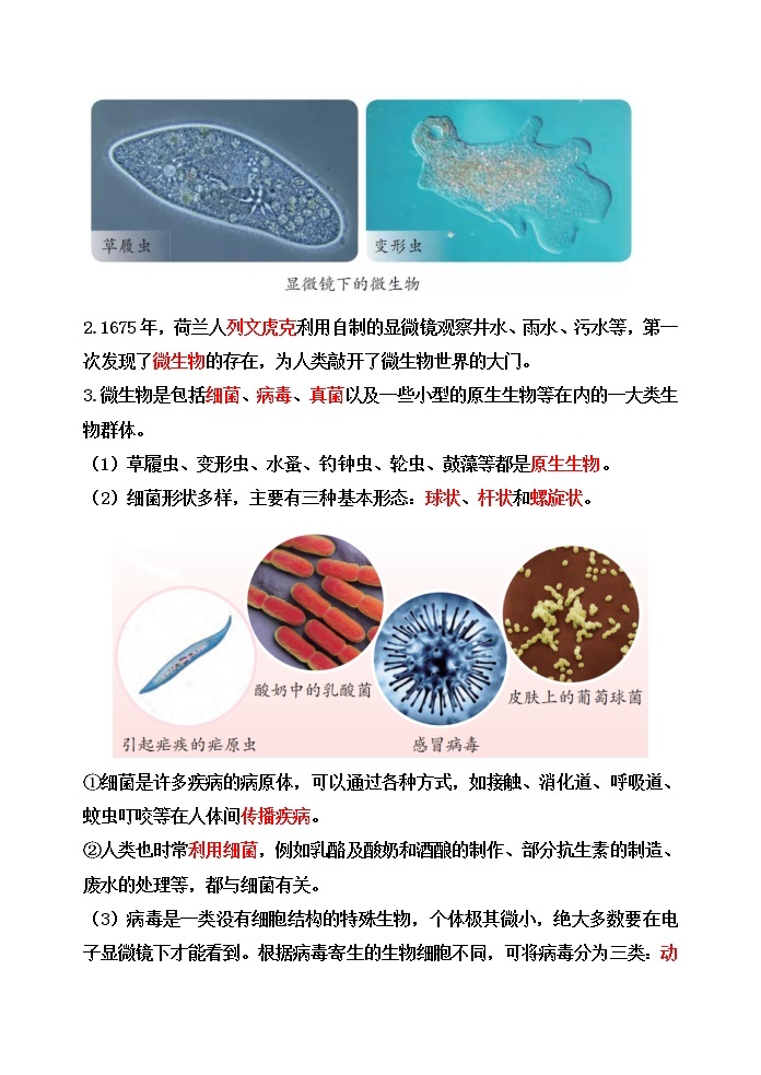 新苏教版科学五下2.微小的生命体【知识梳理+精典考题】-教习网|课件下载