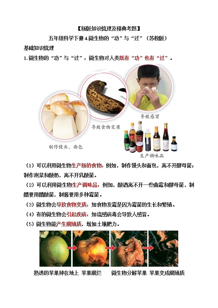 新苏教版科学五下4.微生物的“功”与“过”【知识梳理+精典考题】第1页