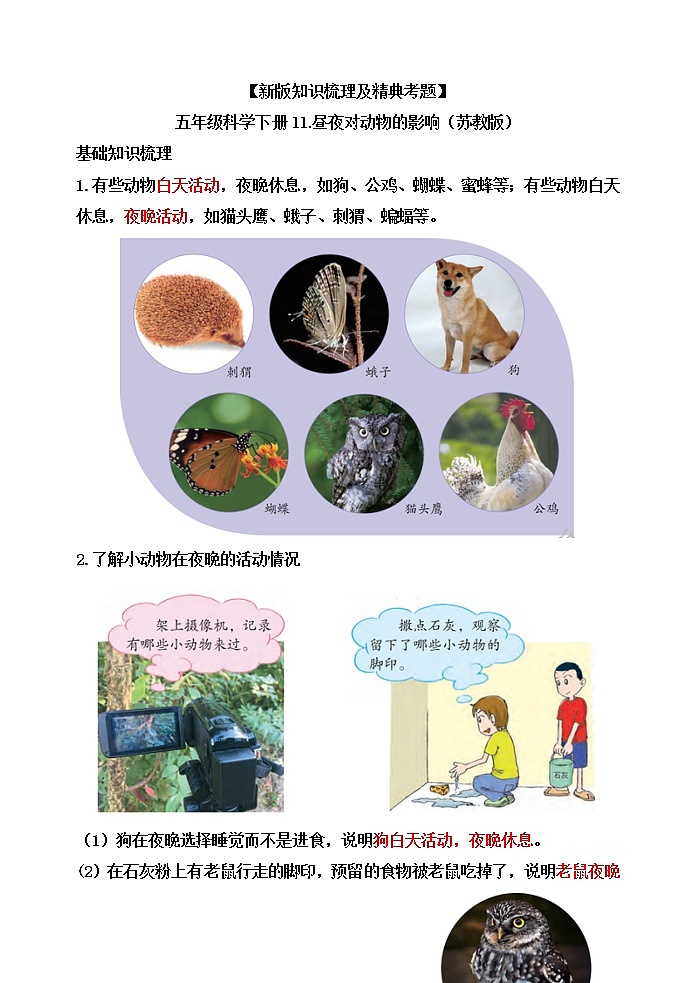 新苏教版科学五下11.昼夜对动物的影响【知识梳理+精典考题】01